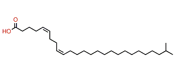 (Z,Z)-25-Methyl-5,9-hexacosadienoic acid