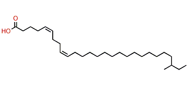 (Z,Z)-25-Methyl-5,9-heptacosadienoic acid