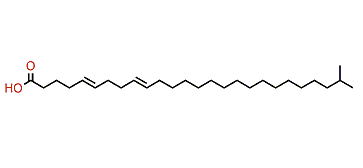 25-Methyl-5,9-hexacosadienoic acid