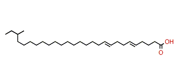 25-Methyl-5,9-heptacosadienoic acid