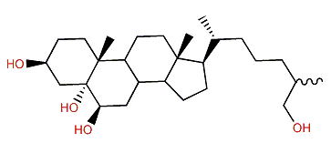 (25xi)-Cholestane-3b,5a,6b,26-tetrol