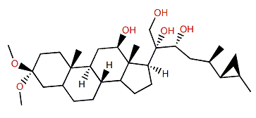 26,27-Cyclo-24,27-dimethylcholestan-3,3-dimethoxy-12b,21,20a,22a-tetraol