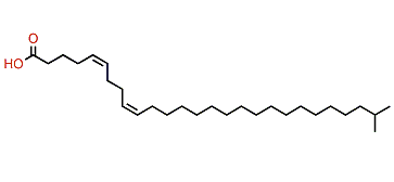 (Z,Z)-26-Methyl-5,9-heptacosadienoic acid