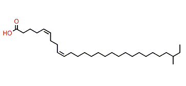 (Z,Z)-26-Methyl-5,9-octacosadienoic acid