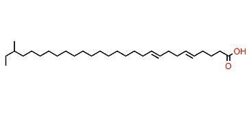 26-Methyl-5,9-octacosadienoic acid