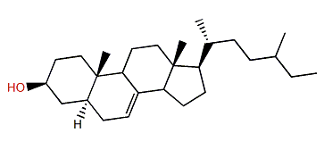 27-Nor-24-methyl-5a-cholest-7-en-3b-ol