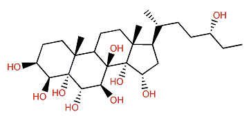 (24R)-27-Nor-5a-cholestane-3b,4b,5,6a,7b,8,14,15a,24-nonol