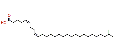 (Z,Z)-27-Methyl-5,9-octacosadienoic acid