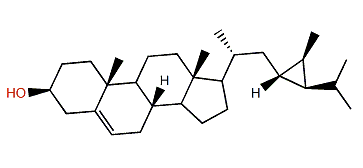 (23S,24S,28R)-23,24,28-Cyclostigmasta-5-en-3b-ol