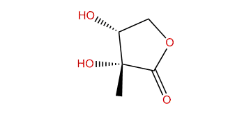 (R,R)-2,3-Dihydroxy-2-methyldihydrofuran-2(3H)-one