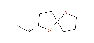 (2R,5R)-2-Ethyl-1,6-dioxaspiro[4.4]nonane