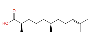 (2R,6S)-2,6,10-Trimethyl-9-undecenoic acid