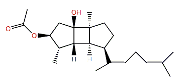 (2S,13Z)-2-Acetoxyspata-13(15),17-dien-10-ol