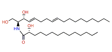 (2S,3R,2'R,4E,8E)-2-(Tetradecanoylamino)-4,8-octadecadien-1,3,2'-triol
