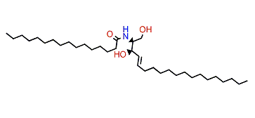(E,2S,3R)-N-(1,3-Dihydroxynonadec-4-en-2-yl)-hexadecanamide