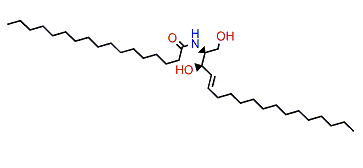 (E,2S,3R)-N-(1,3-Dihydroxyoctadec-4-en-2-yl)-heptadecanamide