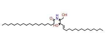 (E,2S,3R)-N-(1,3-Dihydroxyoctadec-4-en-2-yl)-nonadecanamide
