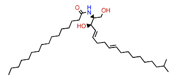 N-(2S,3R,4E,8E)-17-Methyl-palmitoyloctadecasphinga-4,8-dienine