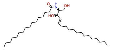 N-(2S,3R,4E)-Palmitoyloctadecasphinga-4-ene
