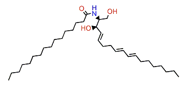 N-(2S,3R,4E,8E,10E)-Palmitoyloctadecasphinga-4,8,10-trienine