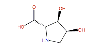 (2S,3R,4S)-3,4-Dihydroxypyrrolidine-2-carboxylic acid