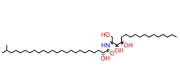(2S,3S,4R)-(2R)-2-Hydroxy-N-(1,3,4-trihydroxyheptadecan-2-yl)-23-methyltetracosanamide