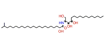 (2S,3S,4R)-(2R)-2-Hydroxy-N-(1,3,4-trihydroxyhexadecan-2-yl)-21-methyldocosanamide