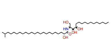 (2S,3S,4R)-(2R)-2-Hydroxy-N-(1,3,4-trihydroxyhexadecan-2-yl)-22-methyltricosanamide