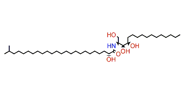 (2S,3S,4R)-(2R)-2-Hydroxy-N-(1,3,4-trihydroxyhexadecan-2-yl)-23-methyltetracosanamide