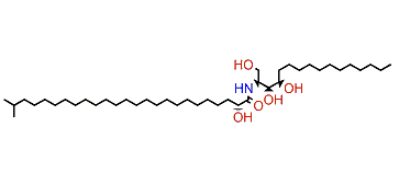 (2S,3S,4R)-(2R)-2-Hydroxy-N-(1,3,4-trihydroxyhexadecan-2-yl)-24-methylpentacosanamide