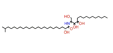 (2S,3S,4R)-(2R)-2-Hydroxy-N-(1,3,4-trihydroxypentadecan-2-yl)-22-methyltricosanamide