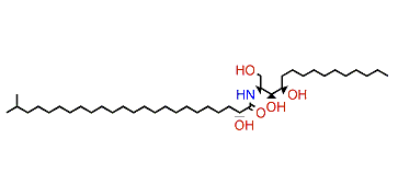 (2S,3S,4R)-2-[(R)-2-Hydroxy-23-methyltetracosanoylamino]-1,3,4-pentadecanetriol(2S,3S,4R)-(2R)-2-Hydroxy-N-(1,3,4-trihydroxypentadecan-2-yl)-23-methyltetracosanamide