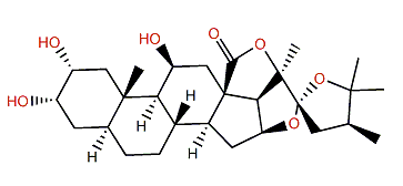 (22S)-2a,3a-Dihydroxy-11b-hydroxy-24-methyl-22,25-epoxy-5a-furostan-18,20b-lactone