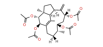 2beta,3alpha,9alpha,11beta-Tetraacetoxy-1(15),8(19)-trinervitadiene