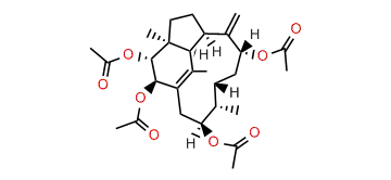 2beta,3alpha,9alpha,13beta-Tetraacetoxy-1(15),8(19)-trinervitadiene