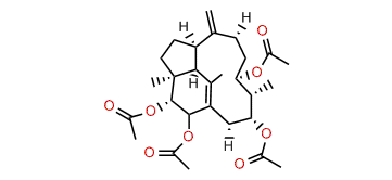 2b,3a,11a,13-Tetraacetoxy-1(15),8(19)-trinervitadiene