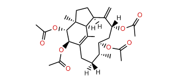 2b,3a,9a,11a-Tetraacetoxy-1(15),8(19)-trinervitadiene