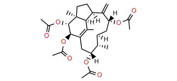 2b,3a,9a,13a-Tetraacetoxy-1(15),8(19)-trinervitadiene