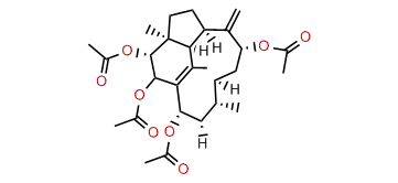 2b,3a,9a,14a-Tetraacetoxy-1(15),8(19)-trinervitadiene