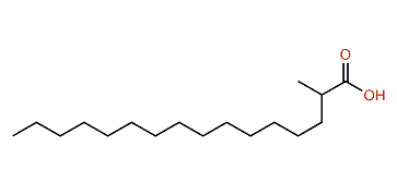 2-Methylhexadecanoic acid