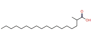 2-Methyloctadecanoic acid