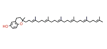 2-Methyl-2-(hexaprenylmethyl)-6-chromanol