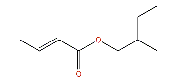 2-Methylbutyl-2-methylbutanoate