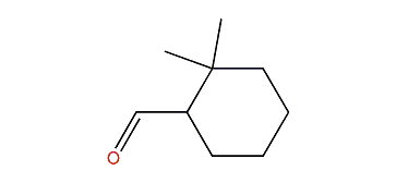 2,2-Dimethylcyclohexane-1-carboxaldehyde