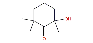 2,2,6-Trimethyl-6-hydroxycyclohexanone