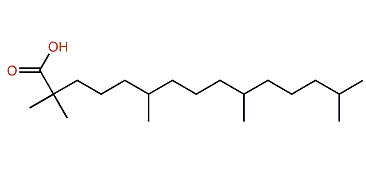2,2,6,10,14-Pentamethylpentadecanoic acid