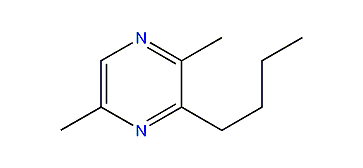 2,5-Dimethyl-3-butylpyrazine