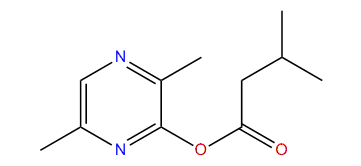 (2,5-Dimethylpyrazin-3-yl)-3-methylbutanoate
