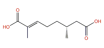 (6R)-2,6-Dimethyl-(2E)-octen-1,8-dioic acid