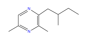 2,6-Dimethyl-3-(2-methylbutyl)-pyrazine